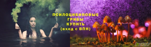эйфоретик Верхний Тагил
